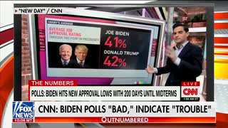 Kayleigh McEnany & Co. absolutely SHRED mentally compromised Biden