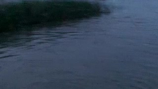 Massive Mayfly Hatch Swarms around Fishermen