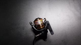 Daiwa BG reel review