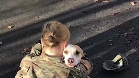 #Dogs Greeting their Owners