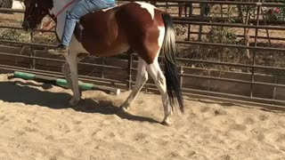 Bare back work out