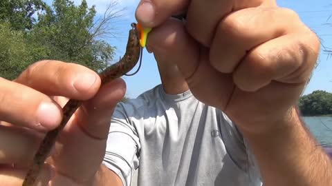 This is how you can rig a weedless jighead