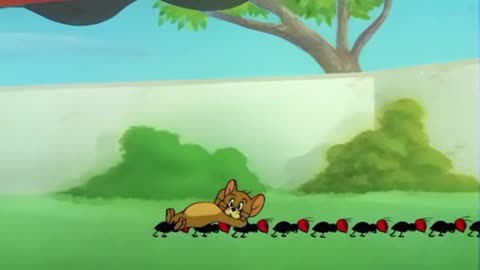 Tom&Jerry Episode Cat Napping Full Watch.(Cartoon World)