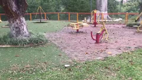 Video: Comunidad de Cabecera denuncia mal estado del parque Carlos Virviescas