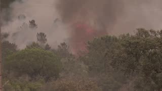 Portugal wildfire ravages over 16,000 acres of land