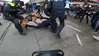 People are beaten with batons and attacked by police dogs at a protest against COVID restrictions in Amsterdam