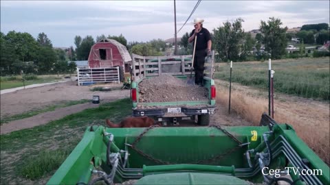 Graham Family Farm: Puppy, Mowing & Gravel