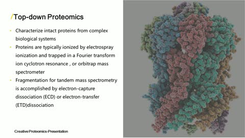 Bottom-up Proteomics and Top-down Proteomics