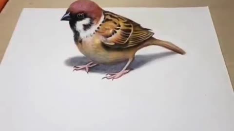 Sparrow Painting,