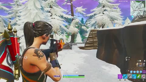 Fortnite - The Aim