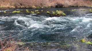 The Roaring & Raging Metolius River – Central Oregon