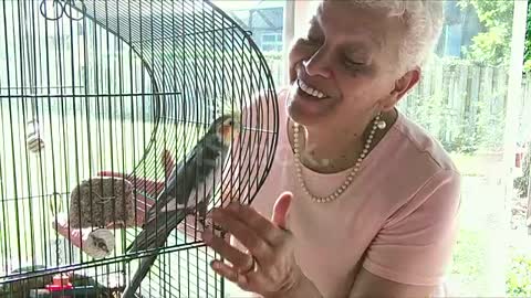 Parrot Discussion with woman