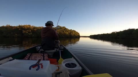 Huge Bull Redfish on Light Tackle