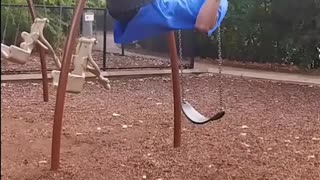 Fun On Swing