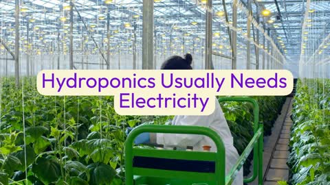 Hydroponic Facts