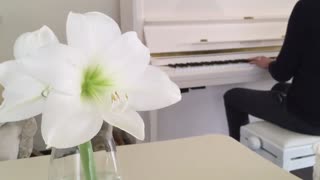 Calming Music - Piano Improvisation: New Hope