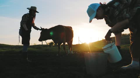 Cows farm concept. Young mother farmer and daughter pour fresh milk