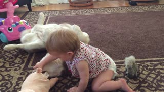 Patient dog allows baby to examine teeth