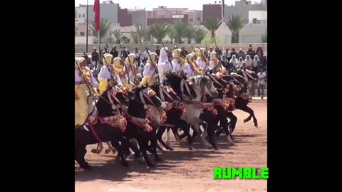 Horses of Morocco