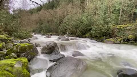 relaxing nature only sound running river birds singing relajante, correr, río, pájaros, canto