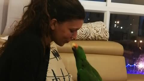 Pixel the Parrot Gives Kisses