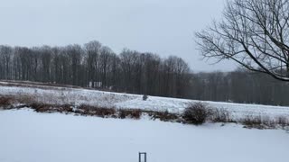 Winter Weather Snow Storm Relaxing Outside Nature Natural Video (01-26-2021)