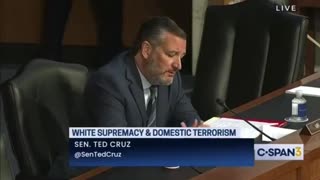 Cruz HAMMERS Dems For Protecting Radical Protestors