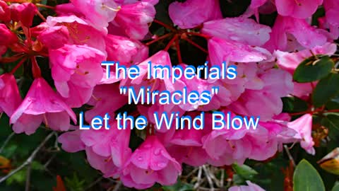 The Imperials - Miracles #179