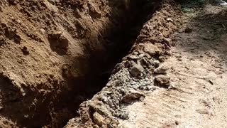 The soil is removed SRI LANKA 🇱🇰