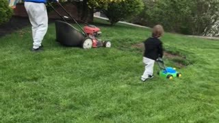 Toddler Follows Dad's Lead in Mowing the Lawn
