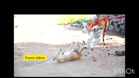 Fake Tiger prank Dog so Funny video)__ funny viral videos