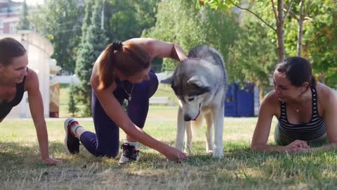 Basic dog training tutorial