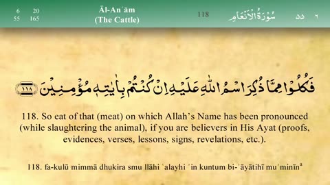 6. Al-An'am (The Cattle)with Tajweed by Mishary Al Afasy