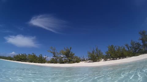 Halfmoon Cay Bahamas