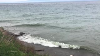 Waves Of Lake Baikal