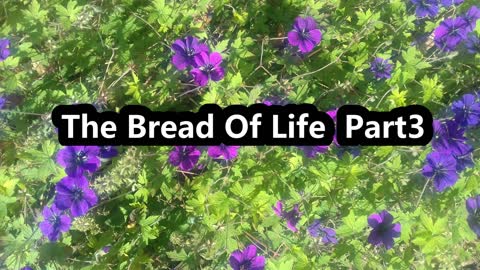 Bible Reading | Bible Study The Bread Of Life Part 3