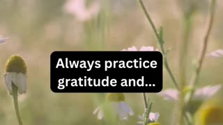 Always practice gratitude and