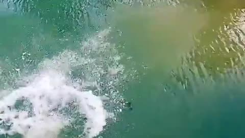 insane jump in the water