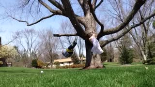 Kids On Rope Swing Takes Turn Until Boy Breaks Entire Branch Off