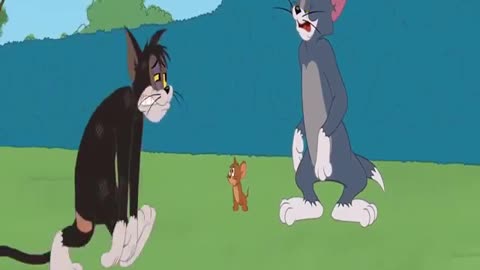 Tom & Jerry | Tom & Jerry in Full Screen | Classic Cartoon Compilation | WB Kids ####