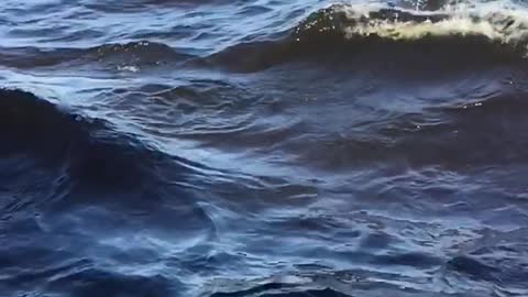 Amazing dark blue waves