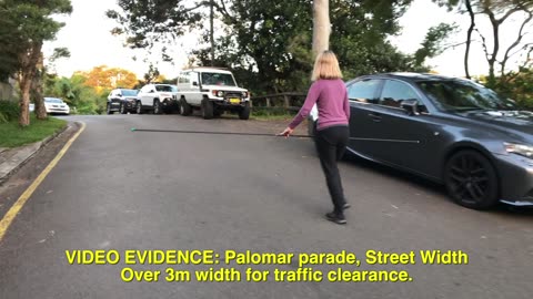 Video Evidence NO.3 - Palomar Street Width over 3m clearance for traffic