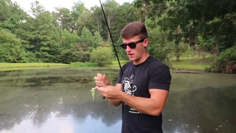 How to Bass Fish in a small pond