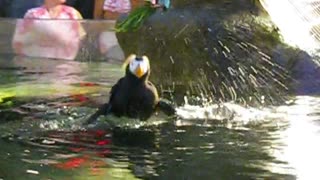 Bath Time... Zoo Life...