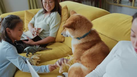 Watch what happens when children play with dogs