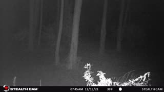 Trail Cam of the Grave yard. Paranormal hunt.