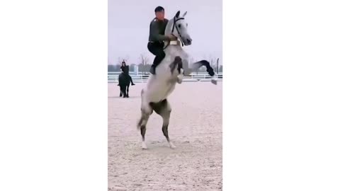 Radical maneuver on the horse [incredible]