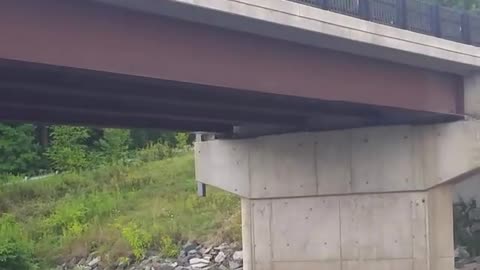 Brittany Jumping Off Bridge