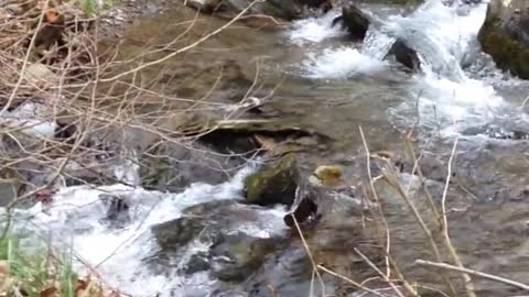 Pretty Babbling Brook Captured During My Epic Road Trip.