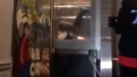 Stunt fails in lift
